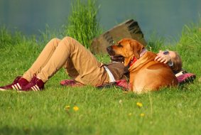 愛犬と旅行へ行く時の持ち物リスト！