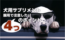 犬用サプリメントの注意点