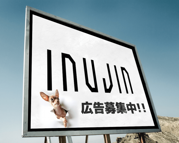 advertise