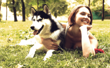 犬の順位付け行動がわかるまとめ