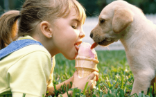 犬がチョコレートを食べてしまったら？まとめ