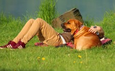 愛犬と旅行　持ち物リストを作ってみよう