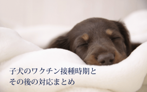 wallpaper-886201-2.png